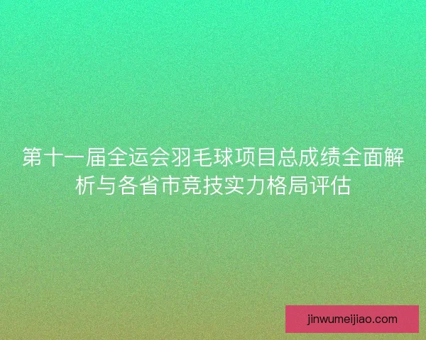 第十一届全运会羽毛球项目总成绩全面解析与各省市竞技实力格局评估